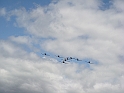 Willow Run Airshow [2009 July 18] 002